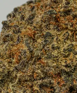 Waffle Cone (AAA+) - Image 4