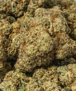 Waffle Cone (AAA+) - Image 5