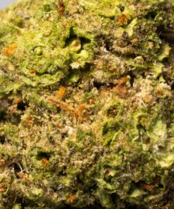 Apple Fritter (AA) - Image 5