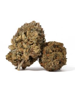 Gangster Kush (AAAA) - Image 1