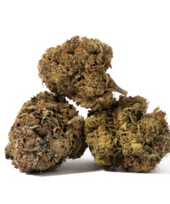 Gangster Kush (AAAA) - Image 3