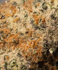 French Toast (AAA) - Image 5