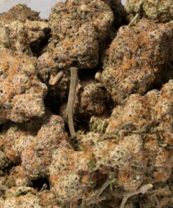 French Toast (AAA) - Image 4