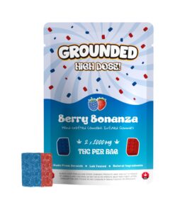 Grounded High Dose Bricks - Berry Bonanza 2000mg - Image 1