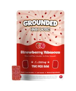 Grounded High Dose Bricks - Strawberry Hibiscus 1000mg - Image 1