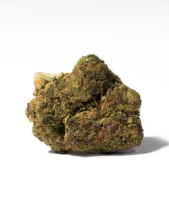 Purple Rain (AA) - Image 3