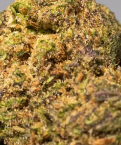 Purple Rain (AA) - Image 4