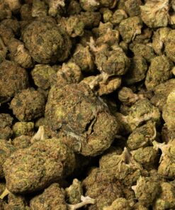 Purple Rain (AA) - Image 5