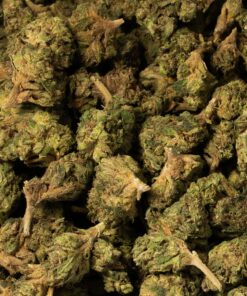 Bruce Banner (AA) - Image 4