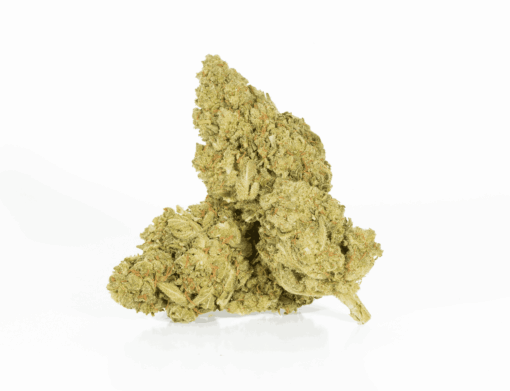 mango-lemonade-cannabis-indica-2.png