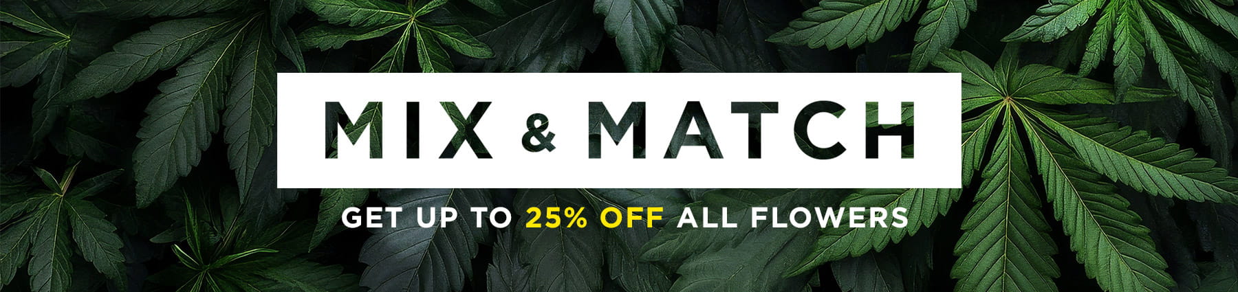 mix-match-promo-banner