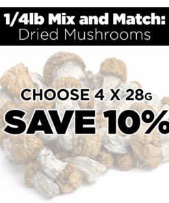 1/4lb Mix and Match Dried Mushrooms - Image 1