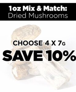1Oz Mix and Match Dried Mushrooms - Image 1
