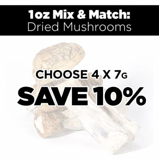 mix-match-shrooms-1oz-1.jpg