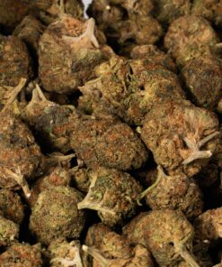 Strawberry AA (Promo) - Image 5