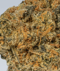 Flap Jacks (AA) Promo - Image 4