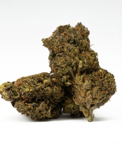 Black Jesus (AA) - Image 1