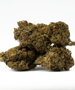 Black Jesus (AA) - Image 2