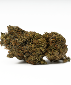 Black Jesus (AA) - Image 3