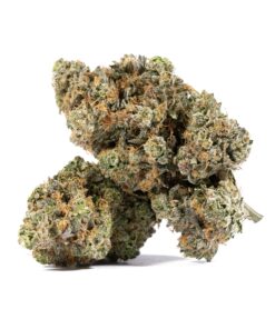 El Chapo (AAAA) - Image 1