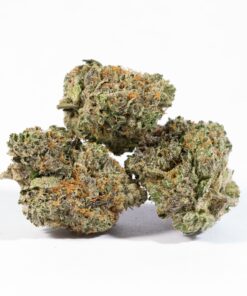 El Chapo (AAAA) - Image 3