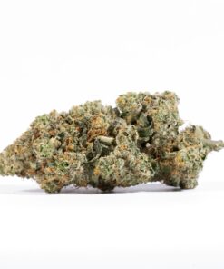 El Chapo (AAAA) - Image 2