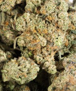 El Chapo (AAAA) - Image 4