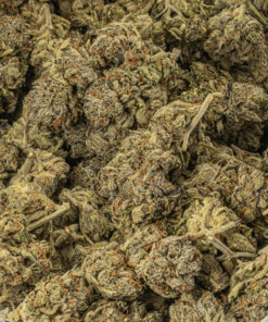 El Chivo (AA+) - Image 5