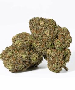 Purple Punch (AA) - Image 1