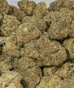 Purple Punch (AA) - Image 5