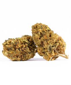 Love Potion #1 AA (Promo)