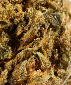 Love Potion #1 AA (Promo) - Image 4