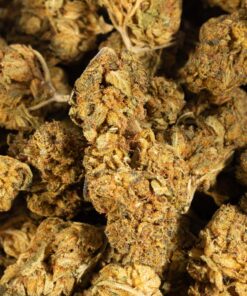 Love Potion #1 AA (Promo) - Image 5