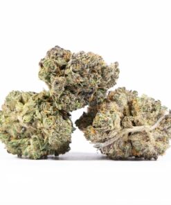 MK Ultra (AAAA) - Image 3