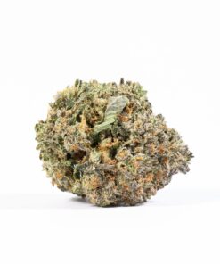 MK Ultra (AAAA) - Image 2