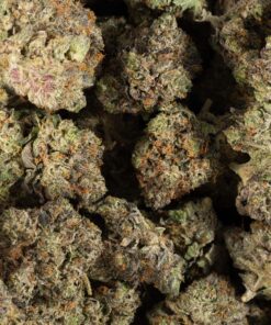 MK Ultra (AAAA) - Image 4