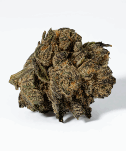 Purple Pinecone (AA+) - Image 3