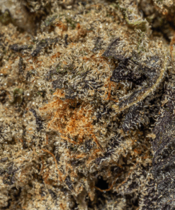 Purple Pinecone (AA+) - Image 5