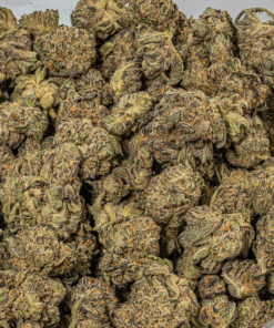 Purple Pinecone (AA+) - Image 4