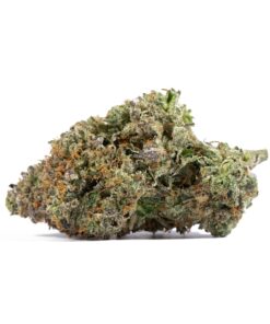 Primus OG (AAAA) - Image 3