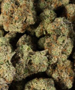 Primus OG (AAAA) - Image 5