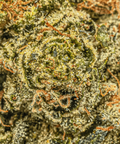 Starfighter (AA+) - Image 4