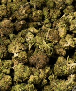 Strawberry AA (Promo) - Image 5