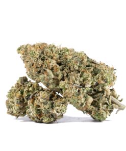 Alien Rift (AAAA) - Image 1