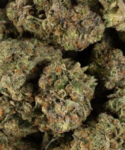 Alien Rift (AAAA) - Image 4