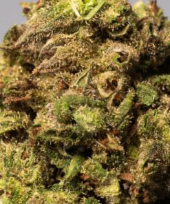 Bruce Banner (AA) - Image 5