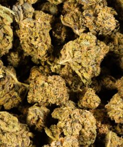 Cheese Wiz (AA+) - Image 5