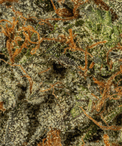 Georgia Pine (AA+) - Image 5