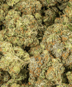 Georgia Pine (AA+) - Image 4