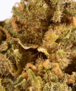 Jack Herer Smalls (AA) - Image 4
